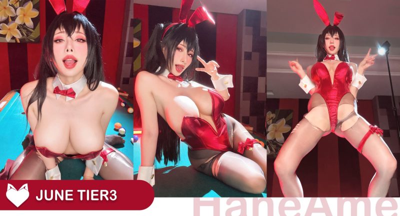 雨波_HaneAme__AZURLANE_TAIHOU_大鳳兔女郎_22P+5V_595MB-百宝袋